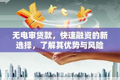 龙江无电审贷款，快速融资的新选择，了解其优势与风险