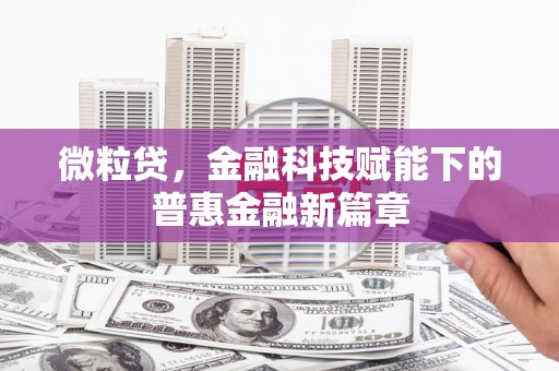 龙江微粒贷，金融科技赋能下的普惠金融新篇章