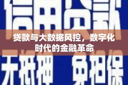 龙江贷款与大数据风控，数字化时代的金融革命
