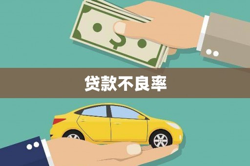 龙江贷款不良率