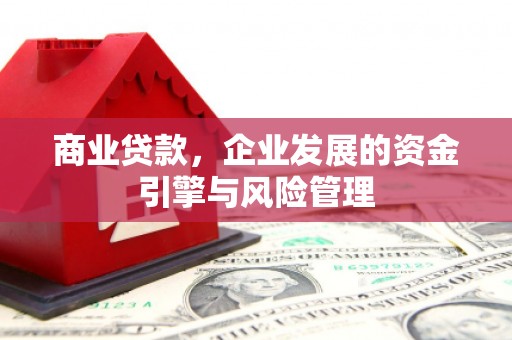 龙江商业贷款，企业发展的资金引擎与风险管理