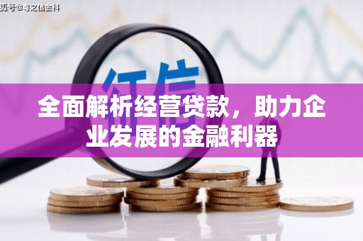 龙江全面解析经营贷款，助力企业发展的金融利器