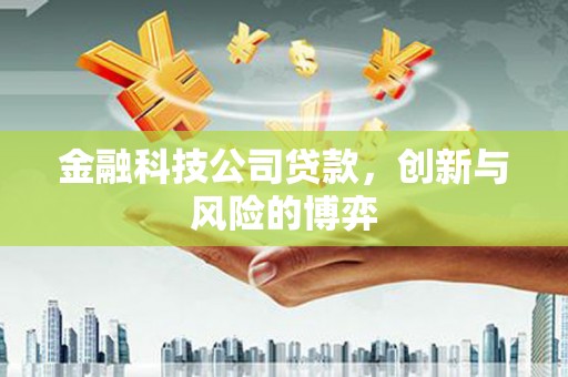 龙江金融科技公司贷款，创新与风险的博弈
