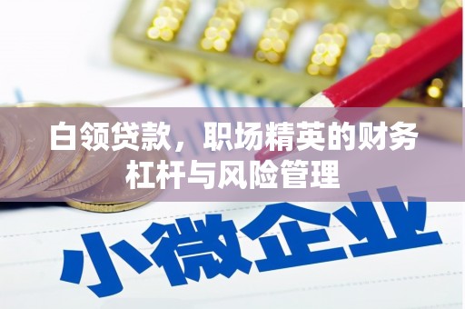龙江白领贷款，职场精英的财务杠杆与风险管理