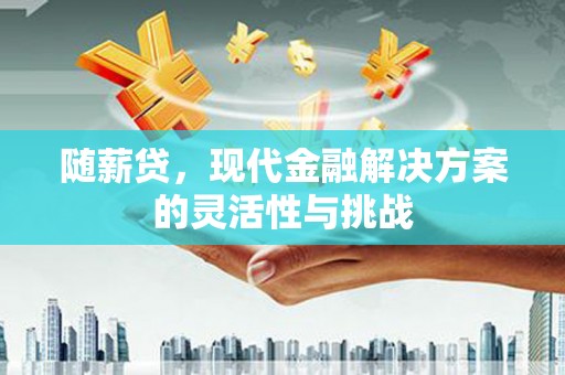 龙江随薪贷，现代金融解决方案的灵活性与挑战