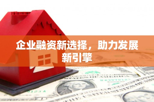 龙江企业融资新选择，助力发展新引擎