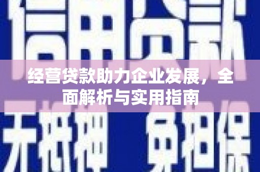 龙江经营贷款助力企业发展，全面解析与实用指南