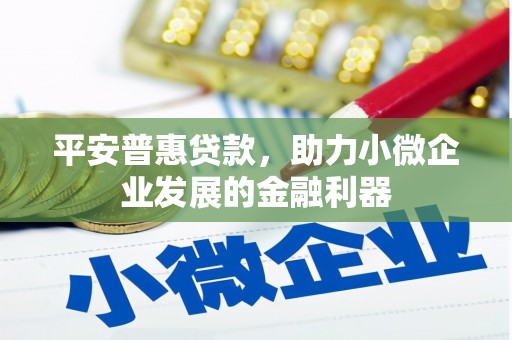 龙江平安普惠贷款，助力小微企业发展的金融利器