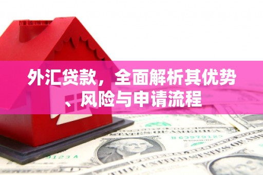 龙江外汇贷款，全面解析其优势、风险与申请流程