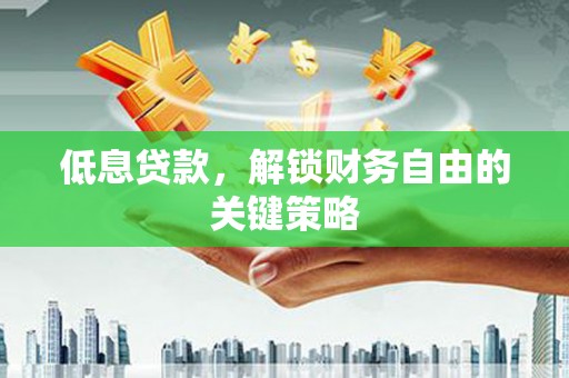龙江低息贷款，解锁财务自由的关键策略