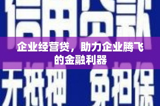龙江企业经营贷，助力企业腾飞的金融利器