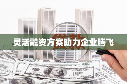 龙江灵活融资方案助力企业腾飞