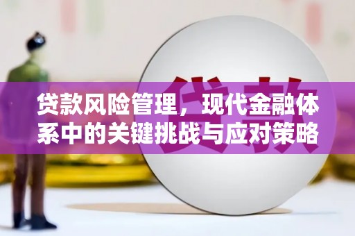 龙江贷款风险管理，现代金融体系中的关键挑战与应对策略