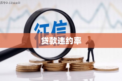 龙江贷款违约率
