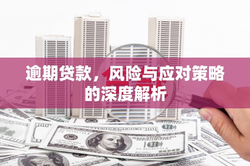 龙江逾期贷款，风险与应对策略的深度解析