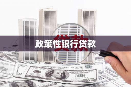 龙江政策性银行贷款