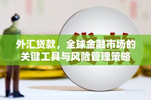 龙江外汇贷款，全球金融市场的关键工具与风险管理策略