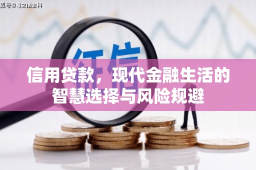 龙江信用贷款，现代金融生活的智慧选择与风险规避