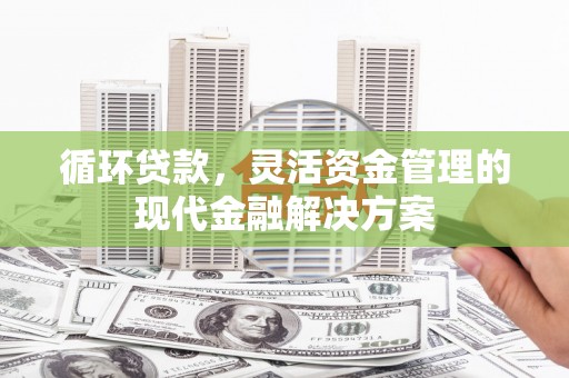 龙江循环贷款，灵活资金管理的现代金融解决方案