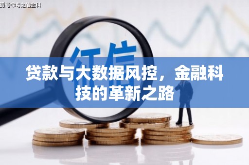 龙江贷款与大数据风控，金融科技的革新之路