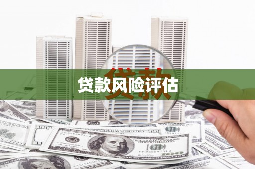 龙江贷款风险评估