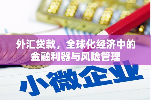 龙江外汇贷款，全球化经济中的金融利器与风险管理