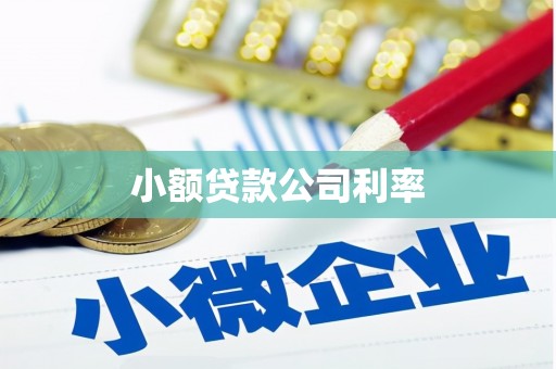 龙江小额贷款公司利率