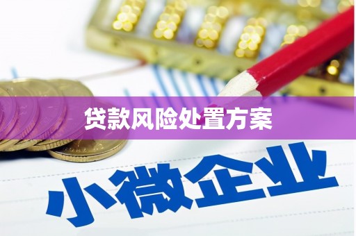 龙江贷款风险处置方案