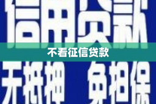 龙江不看征信贷款