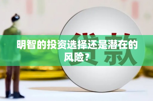 龙江明智的投资选择还是潜在的风险？