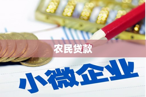 龙江农民贷款