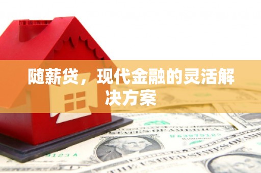 龙江随薪贷，现代金融的灵活解决方案