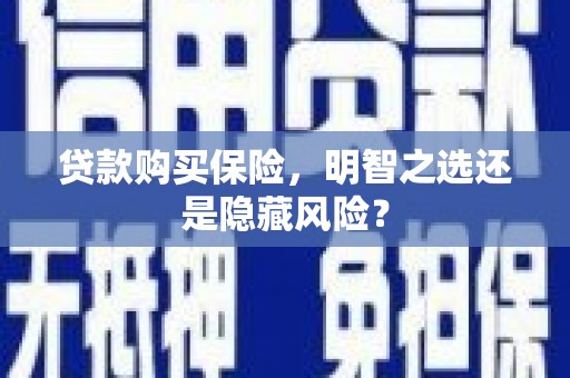 龙江贷款购买保险，明智之选还是隐藏风险？