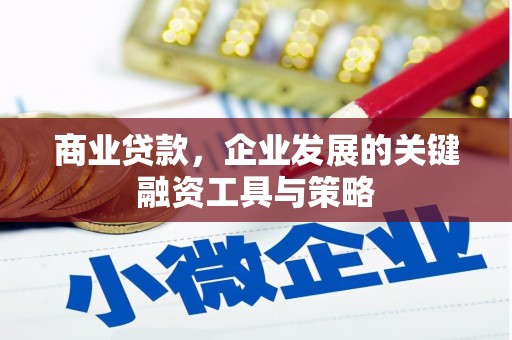 龙江商业贷款，企业发展的关键融资工具与策略