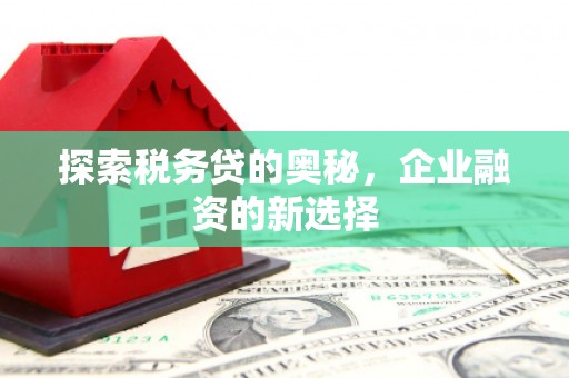 龙江探索税务贷的奥秘，企业融资的新选择