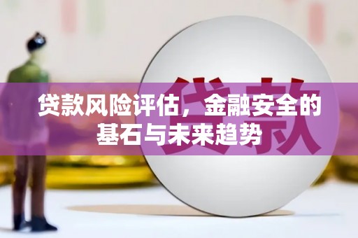 龙江贷款风险评估，金融安全的基石与未来趋势