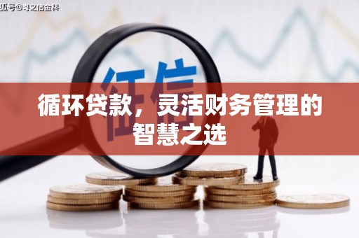 龙江循环贷款，灵活财务管理的智慧之选