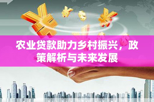 龙江农业贷款助力乡村振兴，政策解析与未来发展