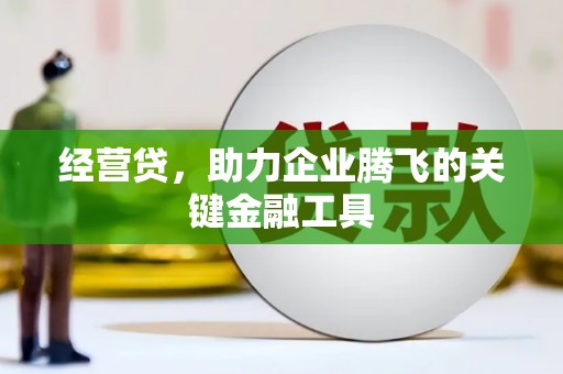 龙江经营贷，助力企业腾飞的关键金融工具