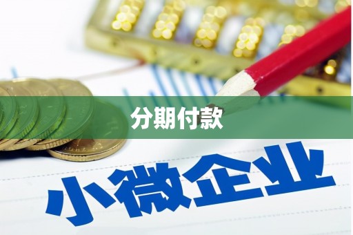 龙江分期付款