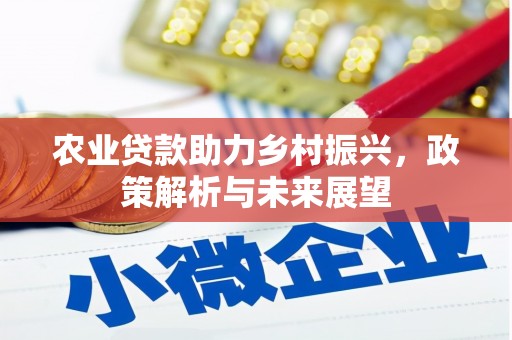 龙江农业贷款助力乡村振兴，政策解析与未来展望