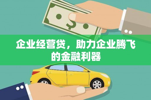 龙江企业经营贷，助力企业腾飞的金融利器