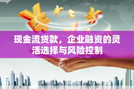 龙江现金流贷款，企业融资的灵活选择与风险控制