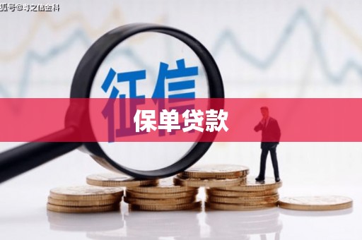 龙江保单贷款