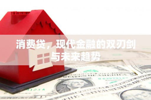 龙江消费贷，现代金融的双刃剑与未来趋势