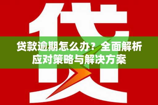 龙江贷款逾期怎么办？全面解析应对策略与解决方案