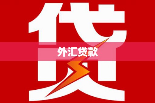 龙江外汇贷款