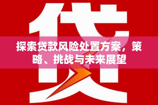 龙江探索贷款风险处置方案，策略、挑战与未来展望