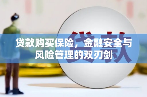 龙江贷款购买保险，金融安全与风险管理的双刃剑