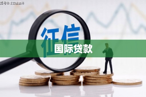 龙江国际贷款